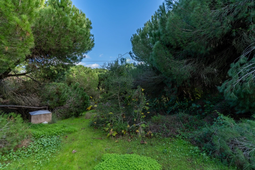Moradia T4 para Venda em Almancil Foto 28