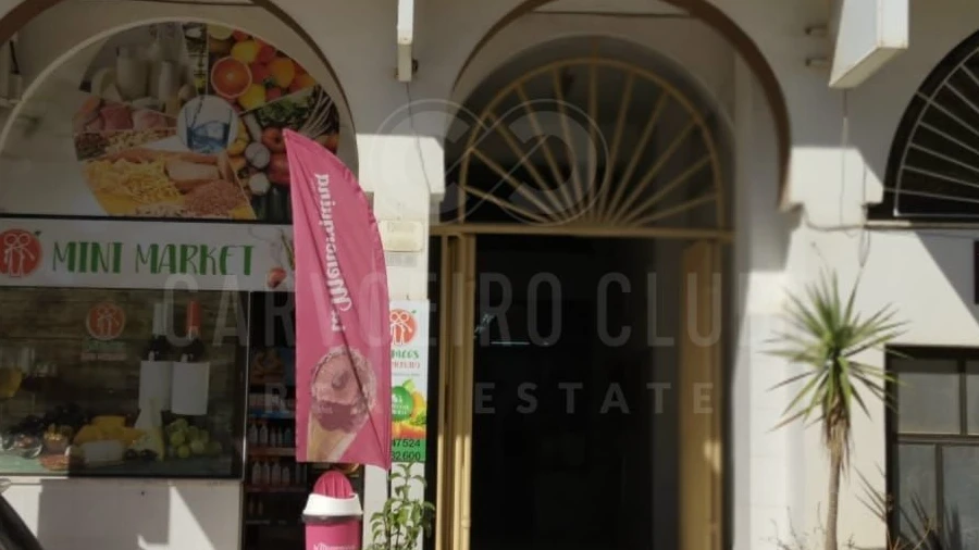 Negócio para Venda em Ferragudo