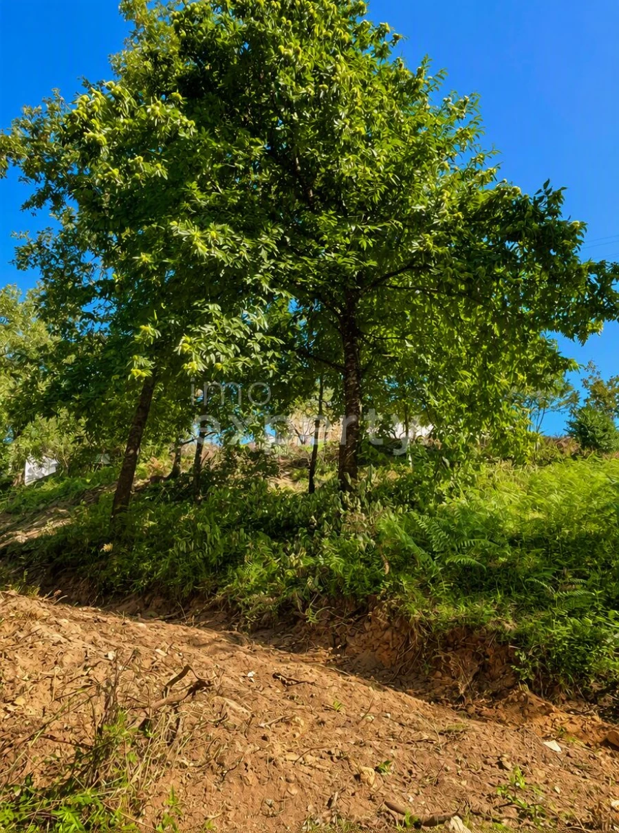 Moradia T5 para Venda em Figueiró dos Vinhos e Bairradas Foto 15