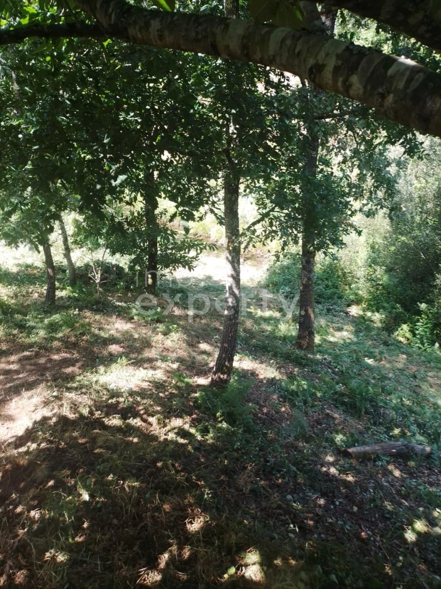 Moradia T5 para Venda em Figueiró dos Vinhos e Bairradas Foto 14