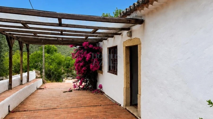 Quinta para Venda em Loule (São Clemente)