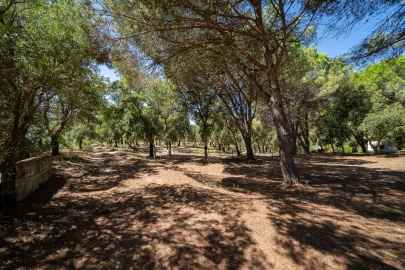 Moradia T4 para Venda em Aljezur