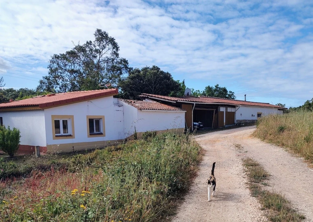 Moradia T4 para Venda em Aljezur Foto 33