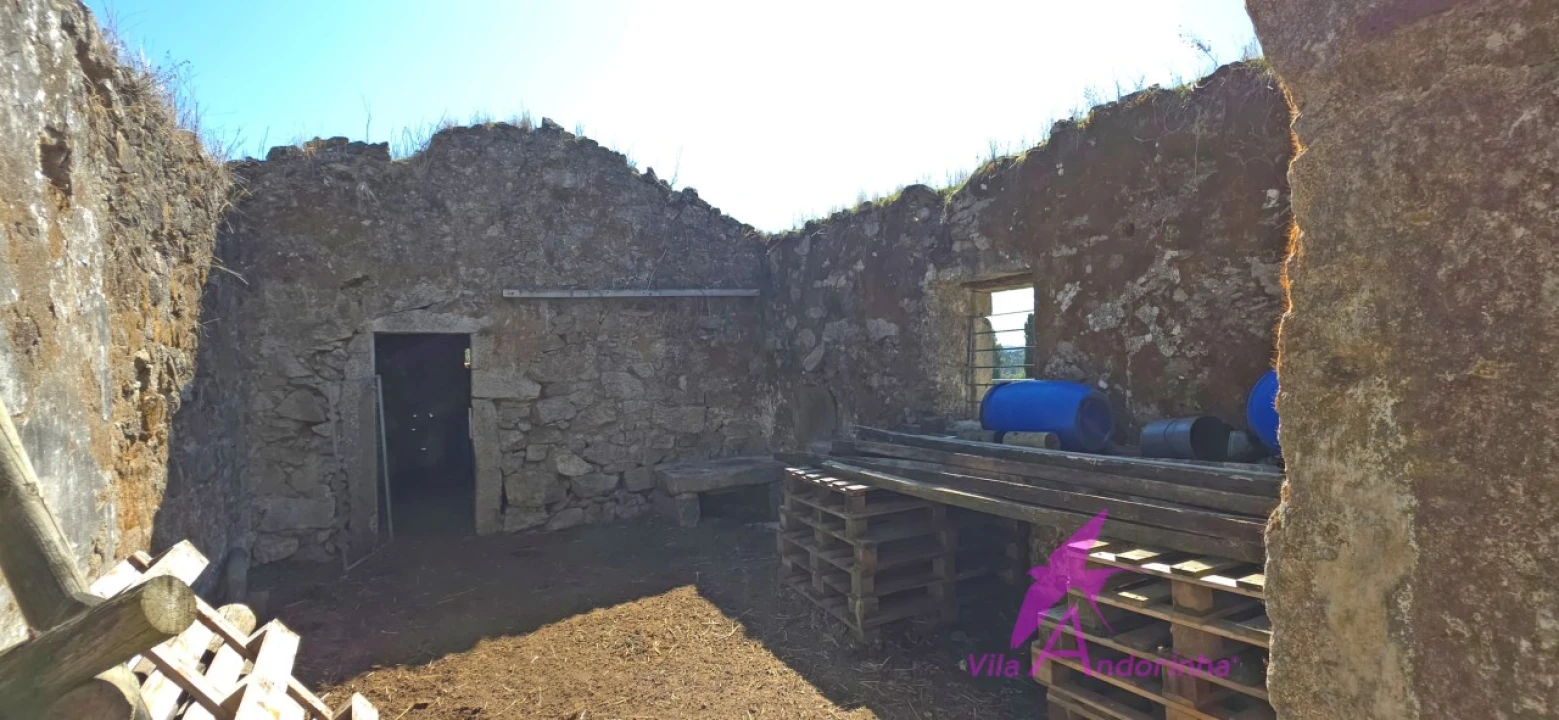 Terreno para Venda em Santa Marta de Portuzelo Foto 4