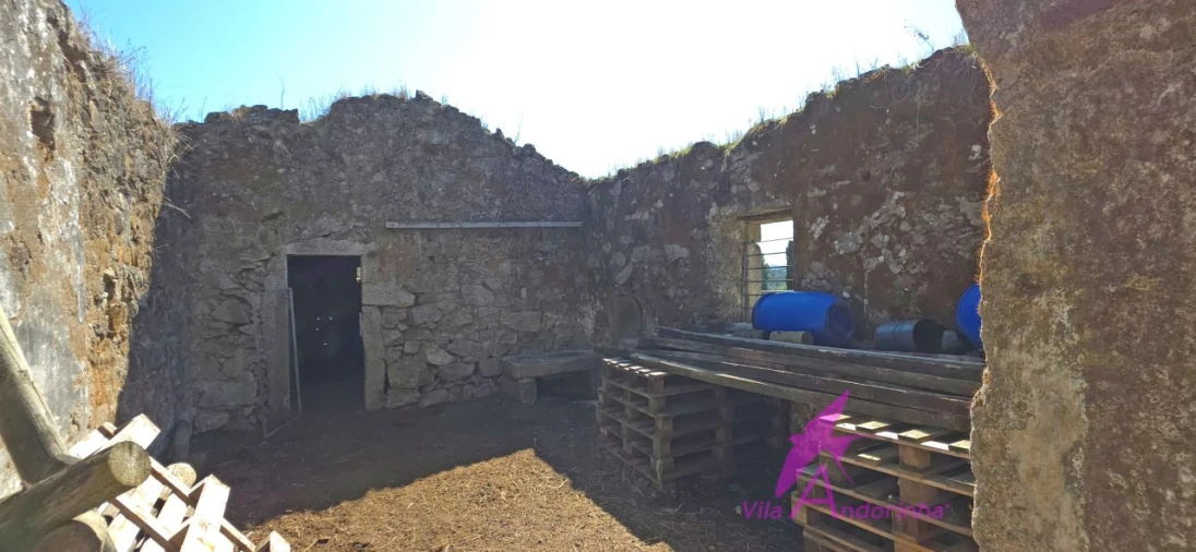 Terreno para Venda em Santa Marta de Portuzelo Foto 4