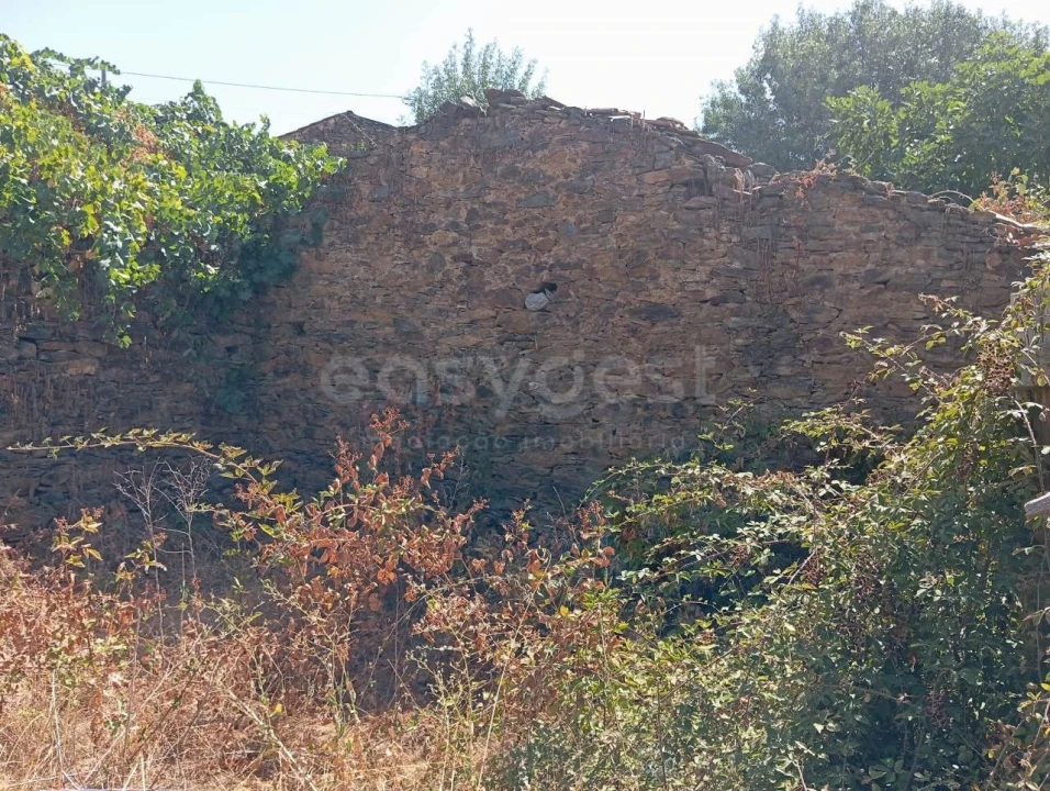 Terreno para Venda em Castelo Branco Foto 8