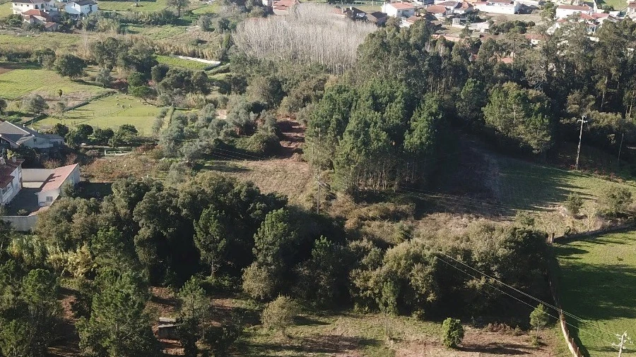 Terreno para Venda em Maceira