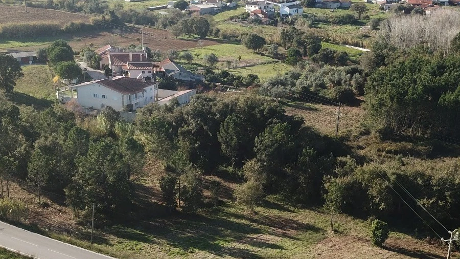 Terreno para Venda em Maceira