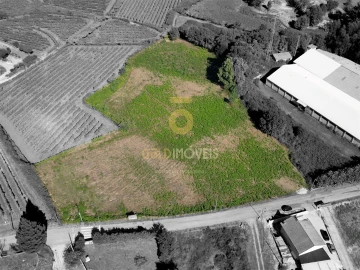 Terreno para Venda em Figueiró (Santiago e Santa Cristina)