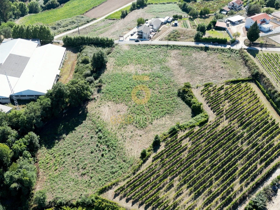 Terreno para Venda em Figueiró (Santiago e Santa Cristina) Foto 2