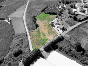 Terreno para Venda em Figueiró (Santiago e Santa Cristina)