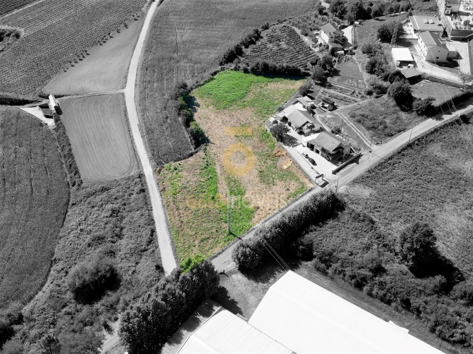 Terreno para Venda em Figueiró (Santiago e Santa Cristina) Foto 2