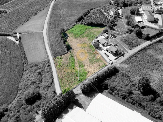 Terreno para Venda em Figueiró (Santiago e Santa Cristina) Foto 2