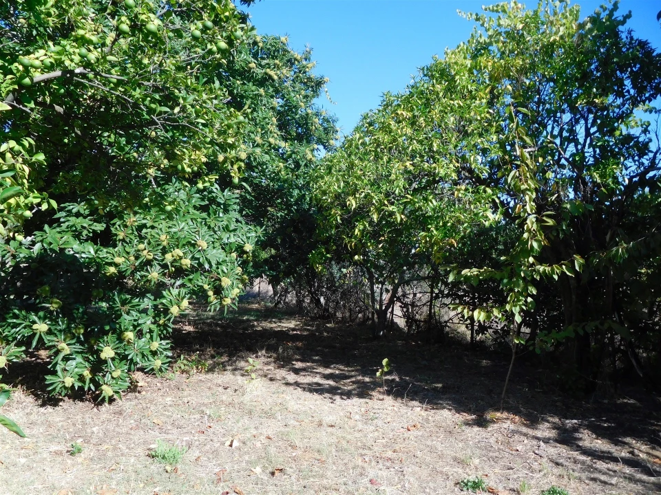 Moradia T3 para Venda em Figueiró dos Vinhos e Bairradas Foto 52