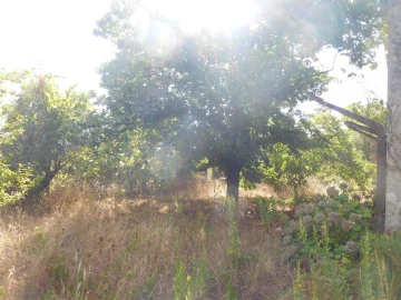Moradia T3 para Venda em Figueiró dos Vinhos e Bairradas