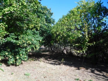 Moradia T3 para Venda em Figueiró dos Vinhos e Bairradas