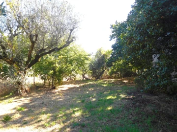 Moradia T3 para Venda em Figueiró dos Vinhos e Bairradas