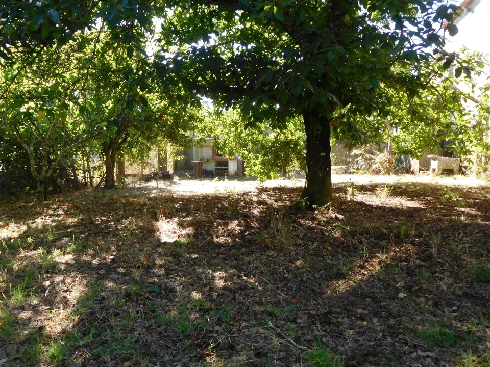 Moradia T3 para Venda em Figueiró dos Vinhos e Bairradas Foto 49