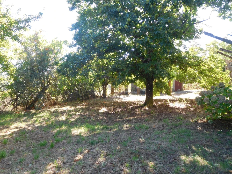 Moradia T3 para Venda em Figueiró dos Vinhos e Bairradas Foto 46