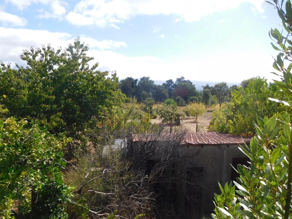 Moradia T3 para Venda em Figueiró dos Vinhos e Bairradas Foto 36