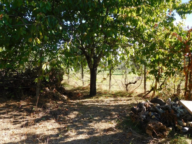 Moradia T3 para Venda em Figueiró dos Vinhos e Bairradas Foto 53