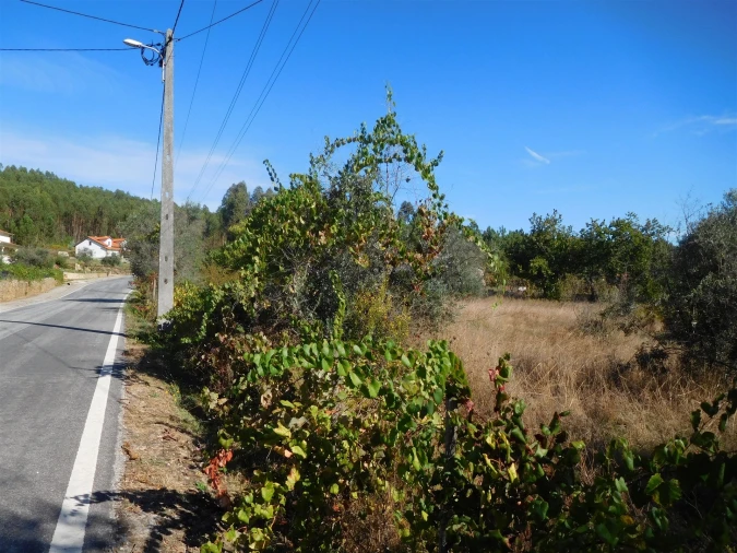 Moradia T3 para Venda em Figueiró dos Vinhos e Bairradas Foto 60