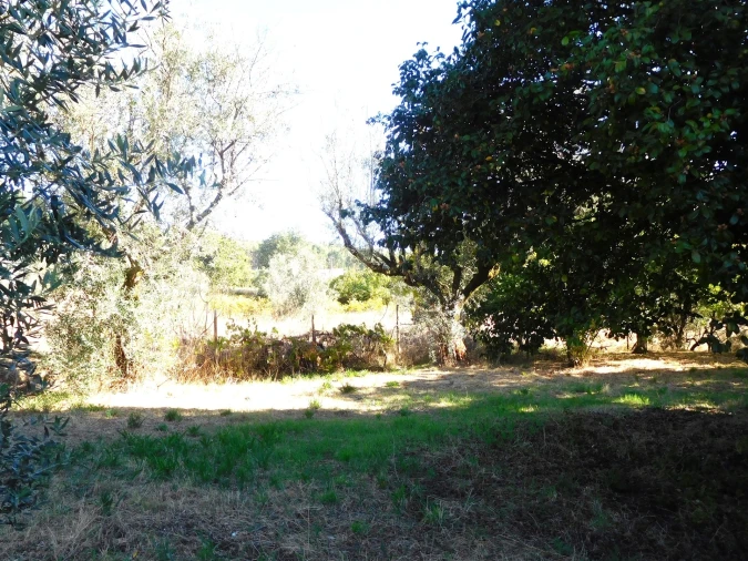 Moradia T3 para Venda em Figueiró dos Vinhos e Bairradas Foto 43