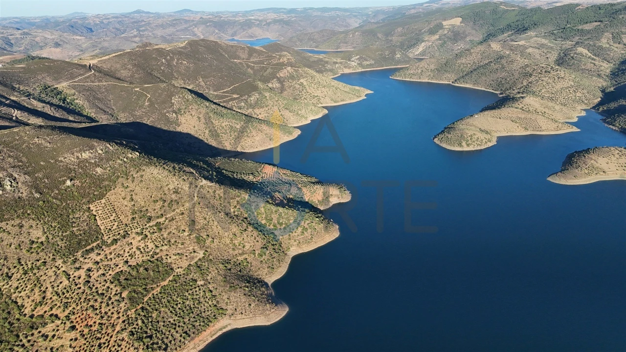 Terreno Agricola ou Rústico para Venda em Felgar e Souto da Velha Foto 6