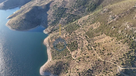 Terreno Agricola ou Rústico para Venda em Felgar e Souto da Velha