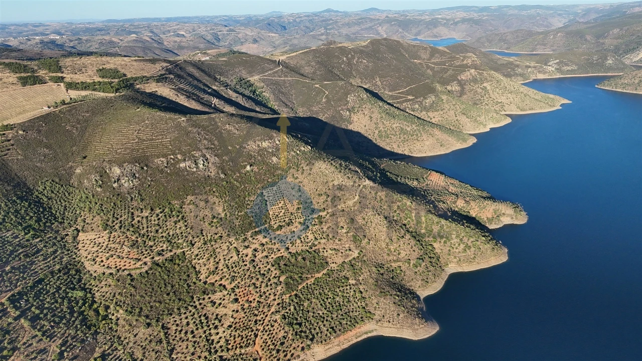 Terreno Agricola ou Rústico para Venda em Felgar e Souto da Velha Foto 5