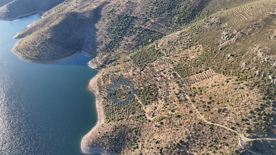 Terreno Agricola ou Rústico para Venda em Felgar e Souto da Velha Foto 2