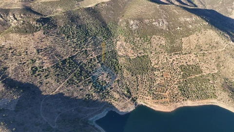 Terreno Agricola ou Rústico para Venda em Felgar e Souto da Velha