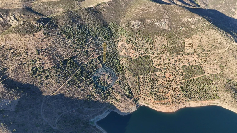 Terreno Agricola ou Rústico para Venda em Felgar e Souto da Velha Foto 5