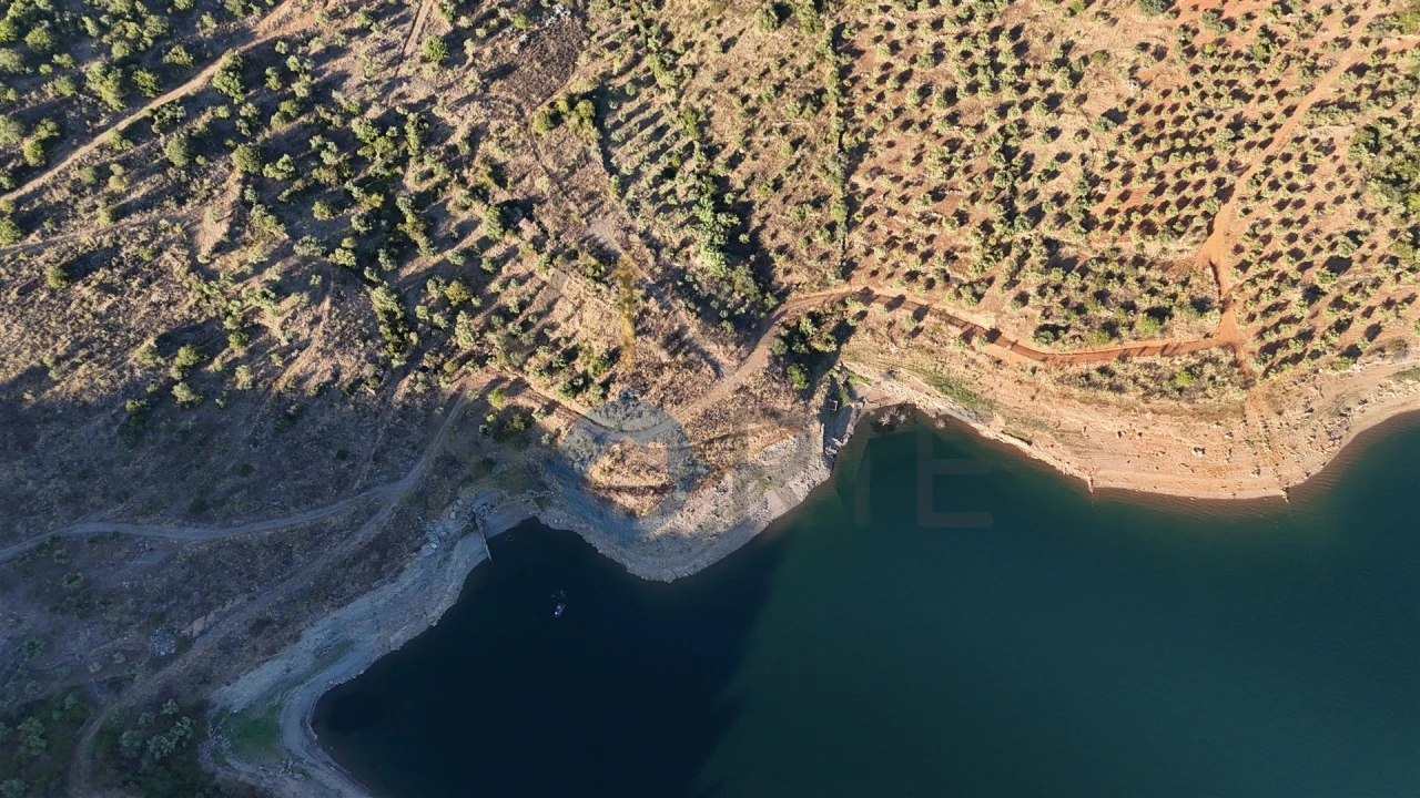 Terreno Agricola ou Rústico para Venda em Felgar e Souto da Velha Foto 8