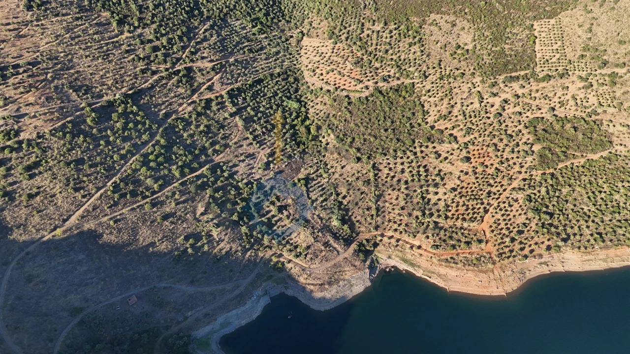 Terreno Agricola ou Rústico para Venda em Felgar e Souto da Velha Foto 6