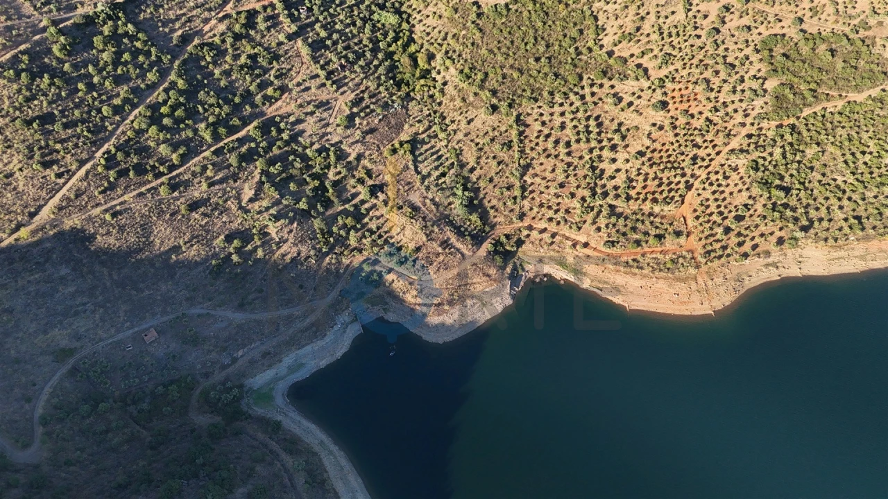 Terreno Agricola ou Rústico para Venda em Felgar e Souto da Velha Foto 7