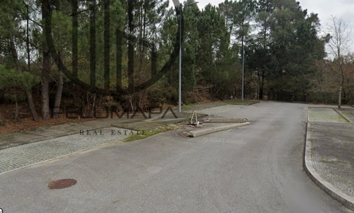 Terreno para Venda em Folgosa Foto 2