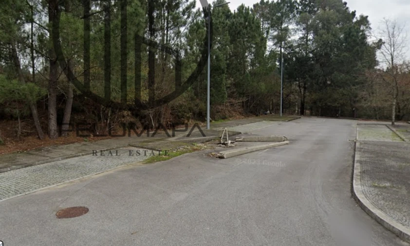 Terreno para Venda em Folgosa Foto 2