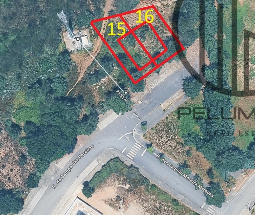Terreno para Venda em Folgosa Foto 1