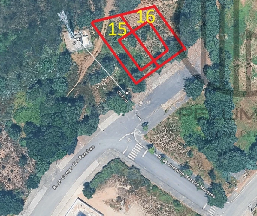 Terreno para Venda em Folgosa Foto 1
