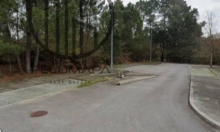 Terreno para Venda em Folgosa