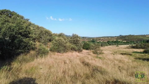 Terreno Agricola ou Rústico para Venda em Aranhas