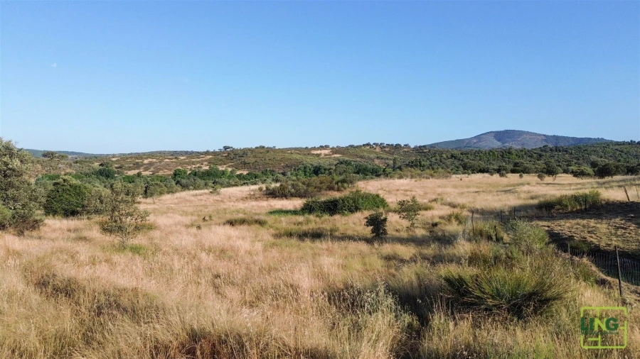Terreno Agricola ou Rústico para Venda em Aranhas Foto 11