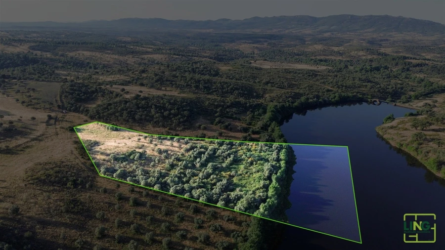 Terreno Agricola ou Rústico para Venda em Aranhas Foto 12