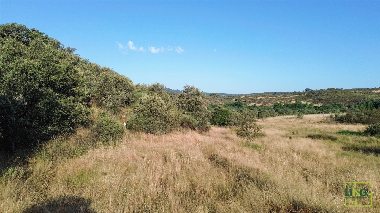 Terreno Agricola ou Rústico para Venda em Aranhas Foto 9
