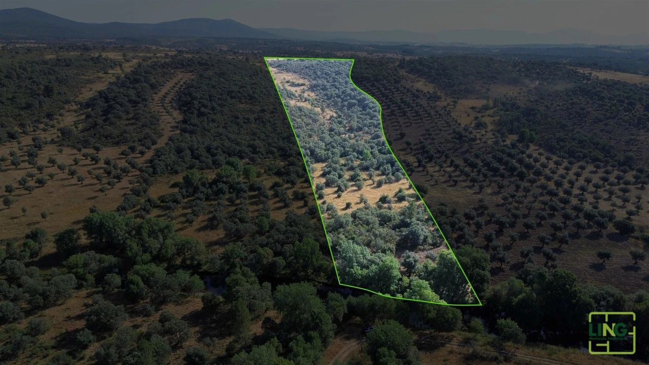 Terreno Agricola ou Rústico para Venda em Aranhas Planta 2