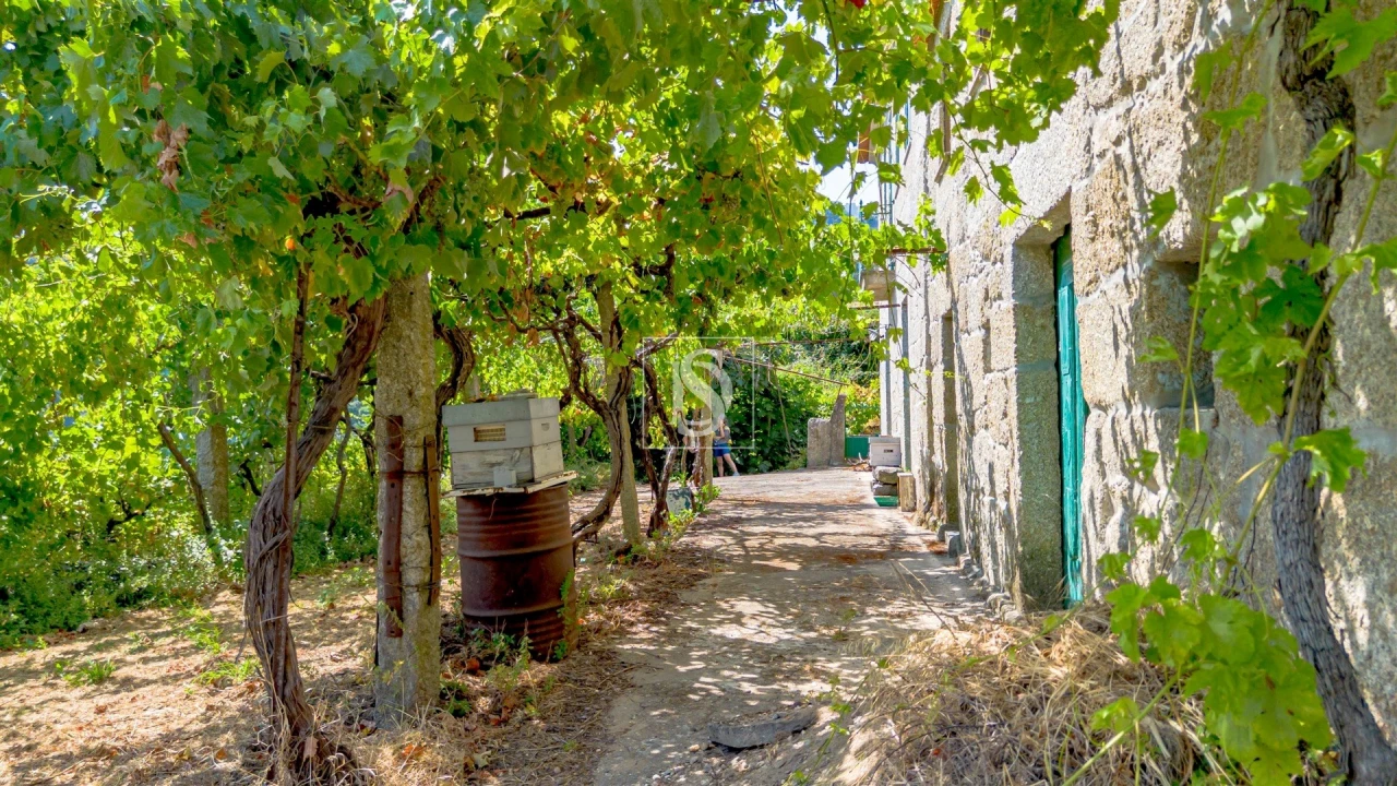 Moradia T5 para Venda em Santa Marinha do Zezere Foto 30