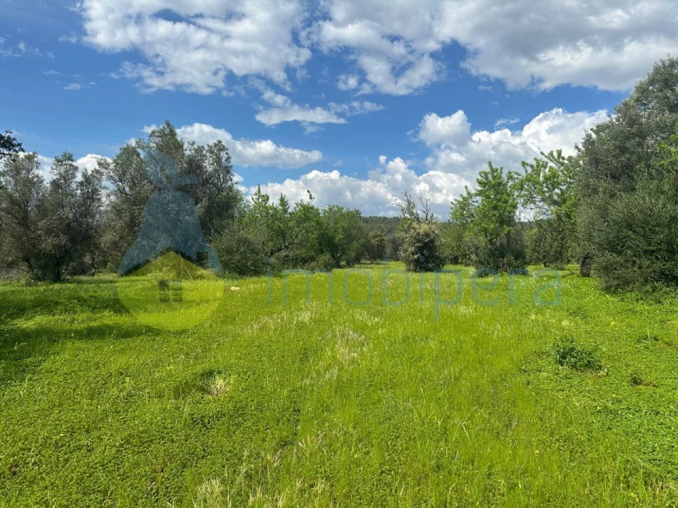Terreno Agricola ou Rústico para Venda em Paderne Foto 1