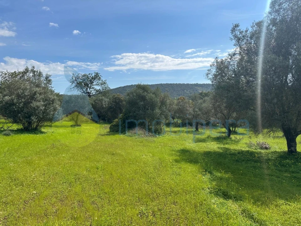 Terreno Agricola ou Rústico para Venda em Paderne Foto 2