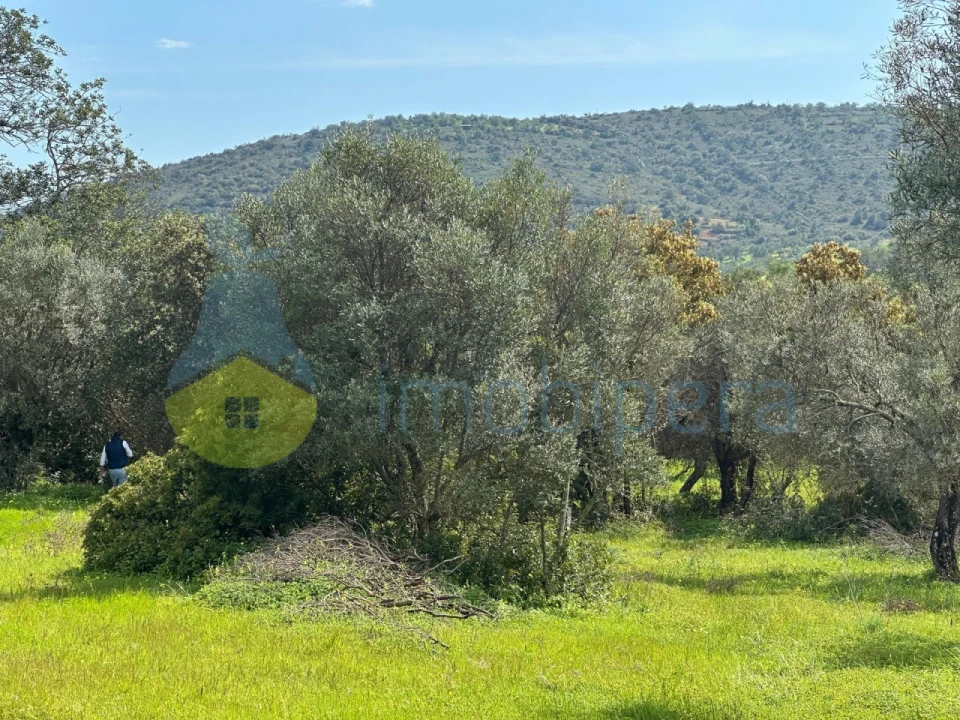 Terreno Agricola ou Rústico para Venda em Paderne Foto 3